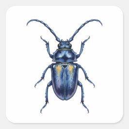 Pegatina Cuadrada Hanneton