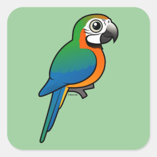 Pegatina Cuadrada Harlequin Macaw