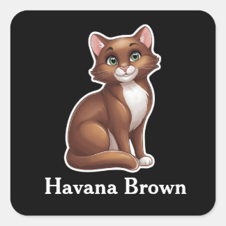 Pegatina Cuadrada Havana Brown