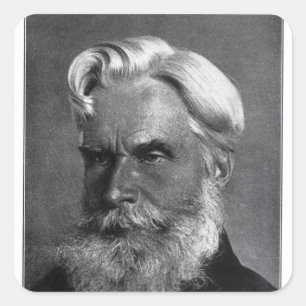 Pegatina Cuadrada Havelock Ellis
