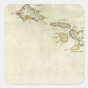 Pegatina Cuadrada Hawaii 3