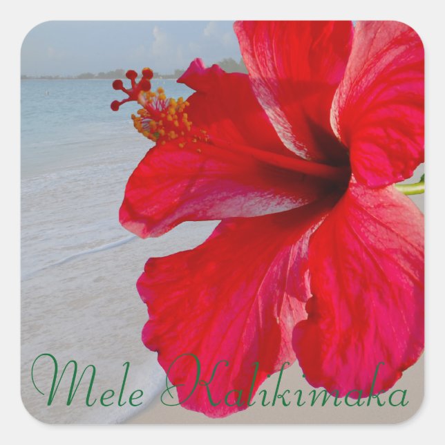 Pegatina Cuadrada Hawaii Mele Kalikimaka Feliz Navidad (Anverso)