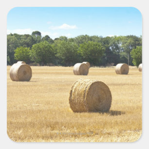 Pegatina Cuadrada Hay en el campo, Francia