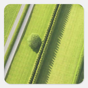 Pegatina Cuadrada Hedge en los Hamptons