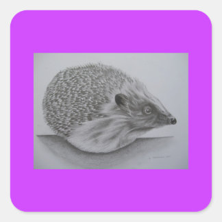 Pegatina Cuadrada Hedgehog Products (2)