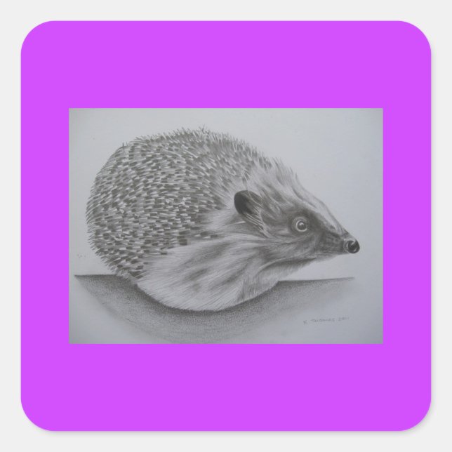 Pegatina Cuadrada Hedgehog Products (2) (Anverso)