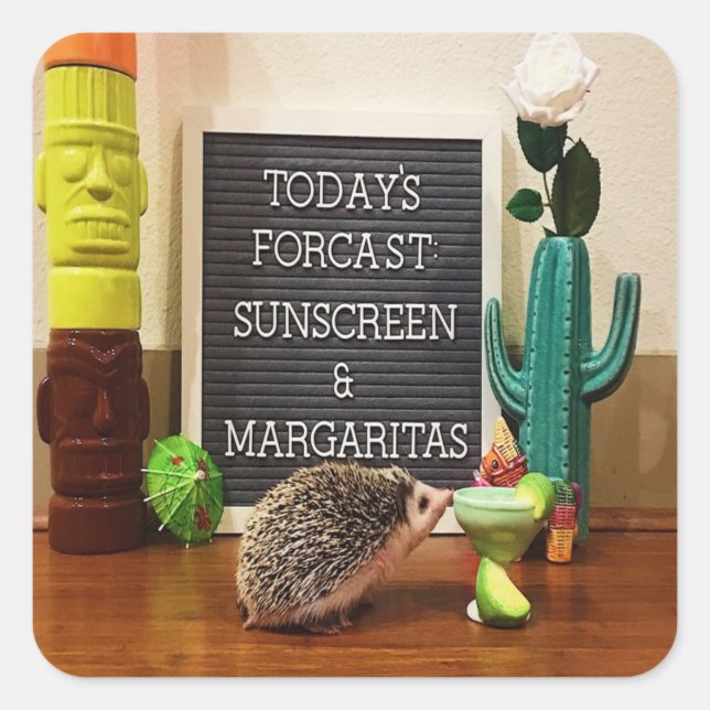 Pegatina Cuadrada Hedgehog Sunscreen y Margaritas (Anverso)