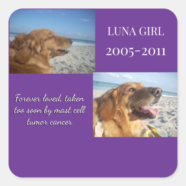 Pegatina Cuadrada Held Close, Never Forgotten (Anverso)