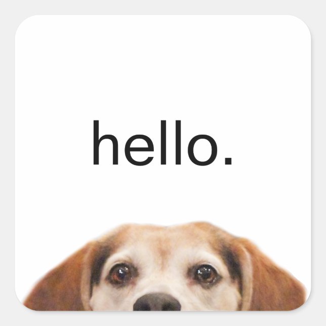 Pegatina Cuadrada Hello Cute Funny Beagle Dog Modern Trendy (Anverso)