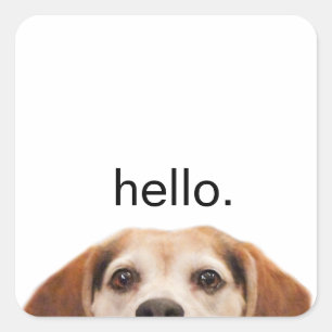 Pegatina Cuadrada Hello Cute Funny Beagle Dog Modern Trendy