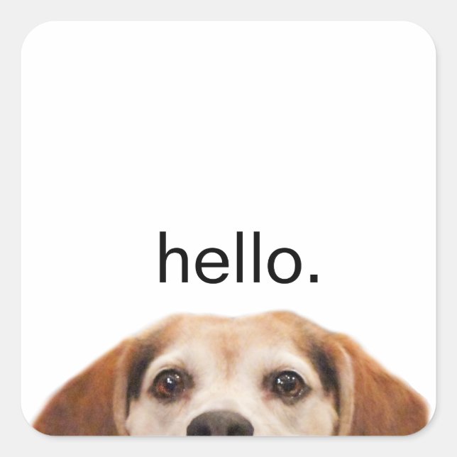 Pegatina Cuadrada Hello Cute Funny Beagle Dog Modern Trendy (Anverso)