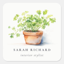 Pegatina Cuadrada Herb Potted Parsley Coriander Watercolor Botánico