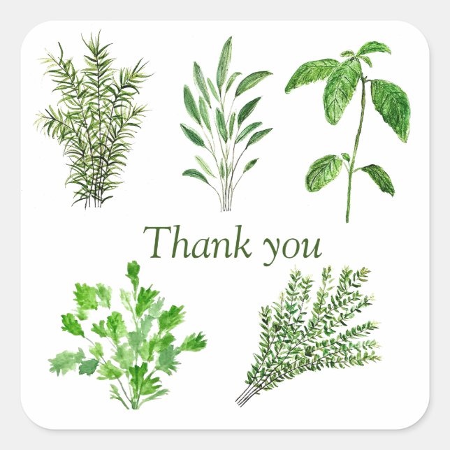 Pegatina Cuadrada Herbs Rosemary Sage Thyme Mint Parsley Gracias (Anverso)