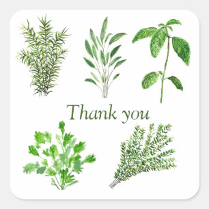 Pegatina Cuadrada Herbs Rosemary Sage Thyme Mint Parsley Gracias