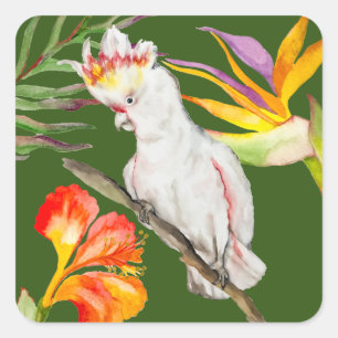 Pegatina Cuadrada Hermosa acuarela cacatau loro dibujo a mano