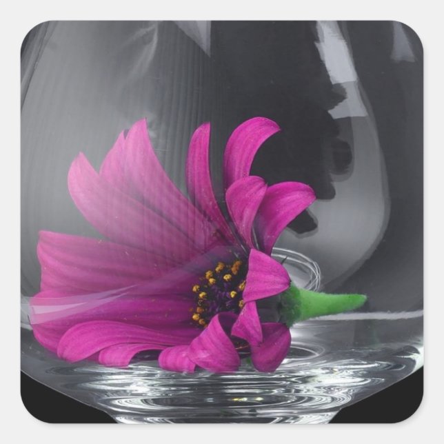 Pegatina Cuadrada Hermosa flor violeta recubierta de cristal (Anverso)