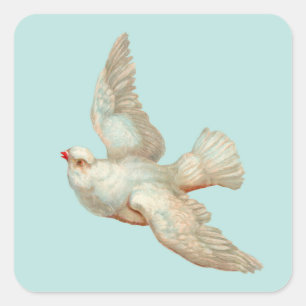 Pegatina Cuadrada hermosa paloma blanca