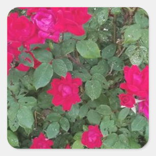 Pegatina Cuadrada Hermosas flores