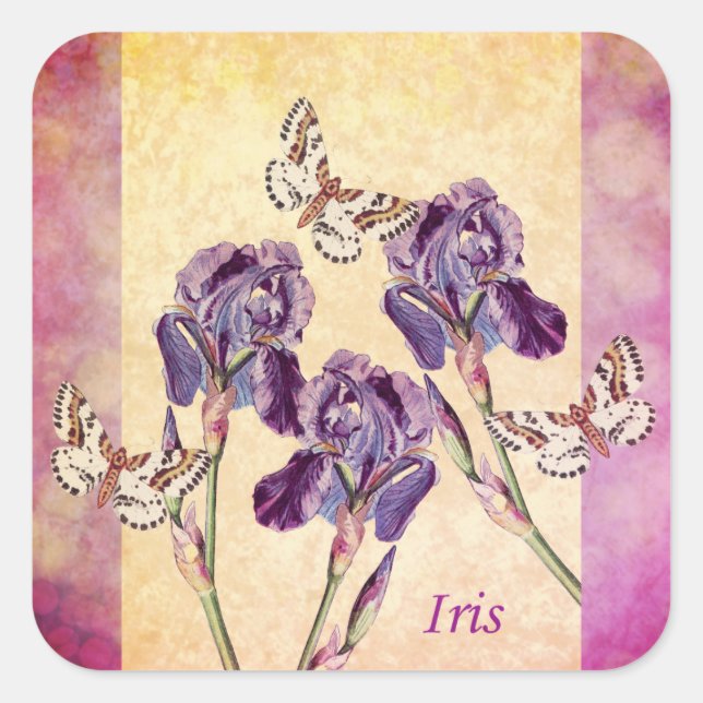 Pegatina Cuadrada Hermosas flores moradas de iris y mariposa (Anverso)