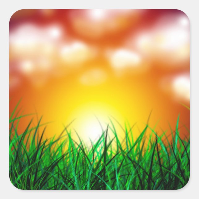 Pegatina Cuadrada Hermoso amanecer sobre un campo de hierba (Anverso)