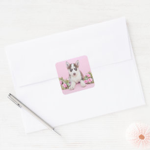 Pegatina Cuadrada Hermoso cachorro humilde con rosas rosas rosas