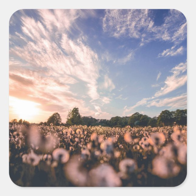 Pegatina Cuadrada hermoso cielo sobre la llanura (Anverso)