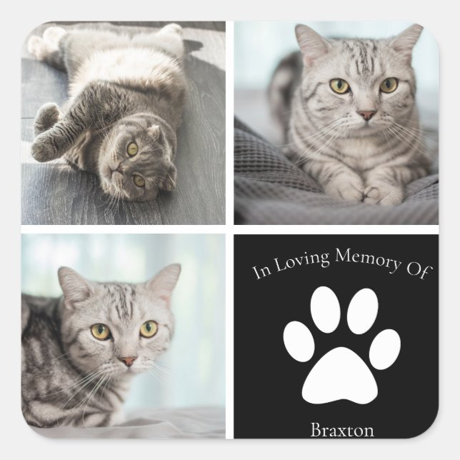 Pegatina Cuadrada Hermoso gato Personalizado Mascota foto Keepsake (Anverso)