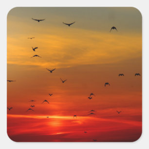 Pegatina Cuadrada Hermoso Sunset Escenario Paisaje Fotográfico Arte