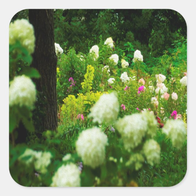 Pegatina Cuadrada Hidrangeas livianas en mi jardín de Rubio (Anverso)