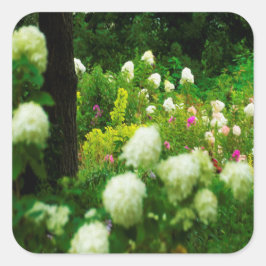 Pegatina Cuadrada Hidrangeas livianas en mi jardín de Rubio