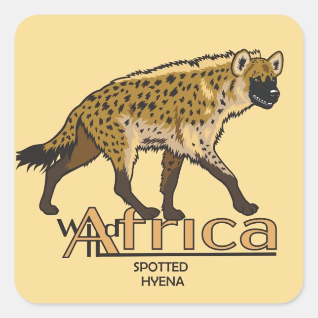 Pegatina Cuadrada Híena vista. África salvaje (Anverso)