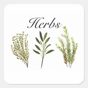 Pegatina Cuadrada Hierbas acuáticas Thyme Rosemary Sage Plants Pot
