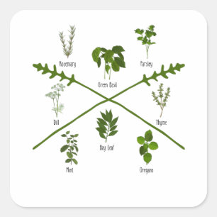 Pegatina Cuadrada Hierbas botánicas Regalo herbático Jardín Cumpleañ