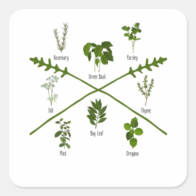 Pegatina Cuadrada Hierbas botánicas Regalo herbático Jardín Cumpleañ (Anverso)