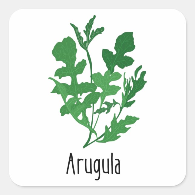 Pegatina Cuadrada Hierbas de las especias de Arugula (Anverso)