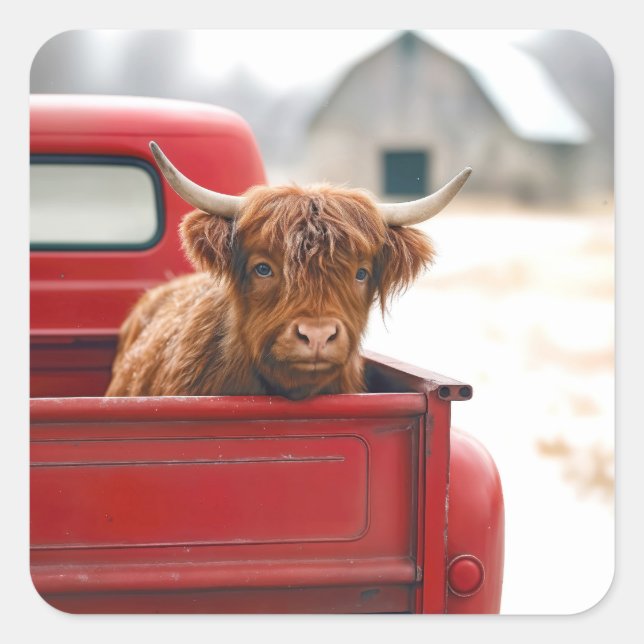 Pegatina Cuadrada Highland Cow In a Red Retro Pickup Truck (Anverso)