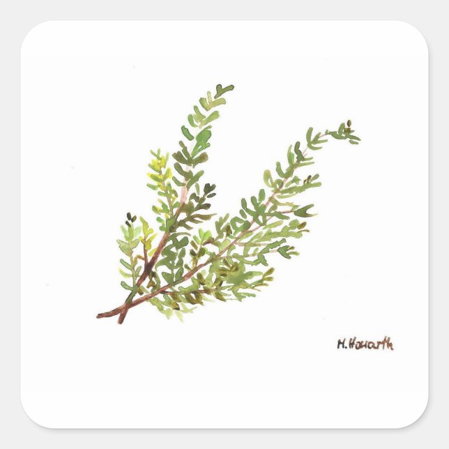 Pegatina Cuadrada Hipercolar Rosemary (Anverso)