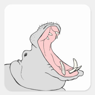 Pegatina Cuadrada Hippo hambriento