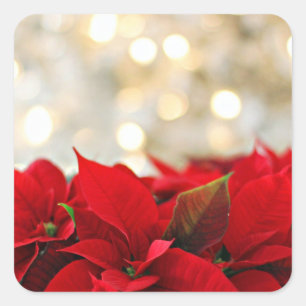 Pegatina Cuadrada Hoja adhesiva de Navidad con flores