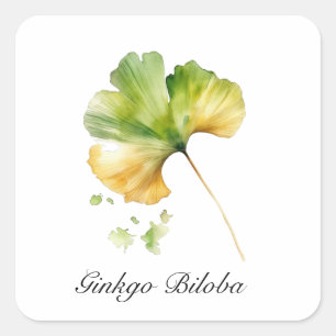 Pegatina Cuadrada Hoja de Ginkgo Biloba en Acuarela Botánica Bienest