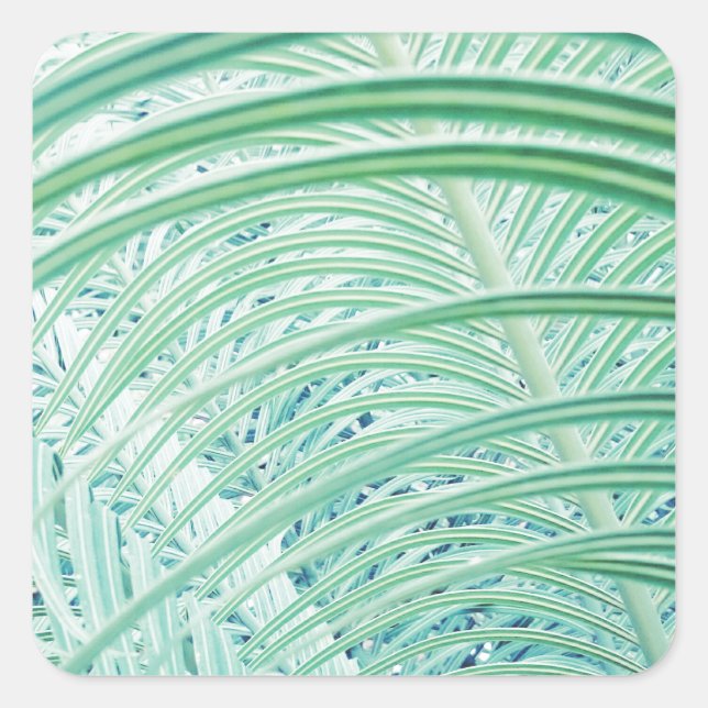 Pegatina Cuadrada Hoja de palma de planta verde suave (Anverso)