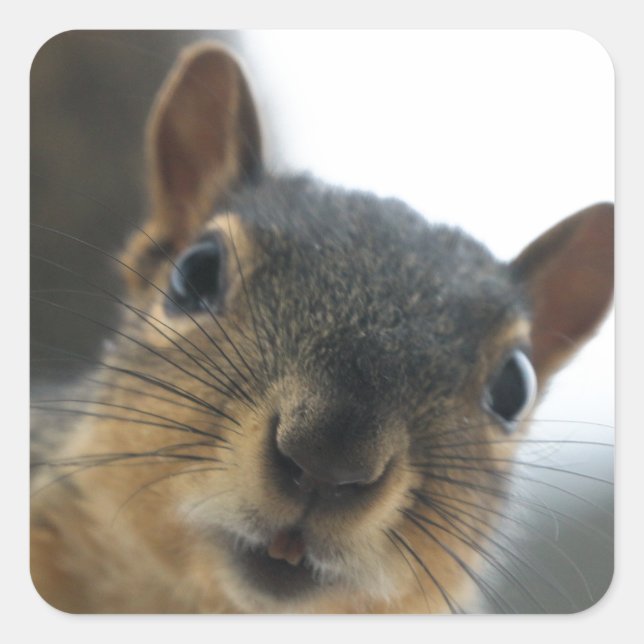 Pegatina Cuadrada Hola. (Anverso)