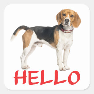 Pegatina Cuadrada Hola Amante de Perro Bozal Cute Te Echo de Menos A