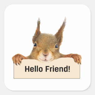 Pegatina Cuadrada Hola amigo Funny Squirrel