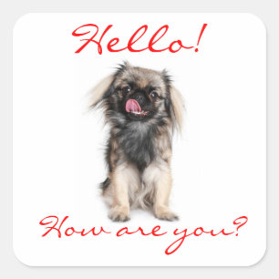 Pegatina Cuadrada Hola sticker de saludo de cachorro de Pekín