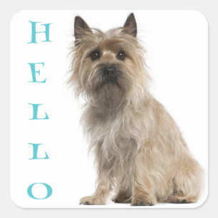Pegatina Cuadrada Hola Stickers de saludo para cachorros de Terrier