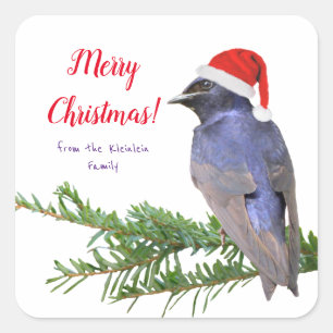 Pegatina Cuadrada Holiday Purple Martin