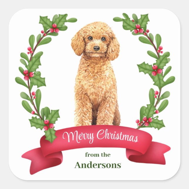 Pegatina Cuadrada Holly Banner Poodle Dog Navidades (Anverso)