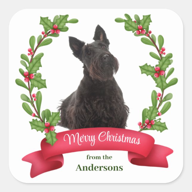 Pegatina Cuadrada Holly Banner Scottish Terrier Dog Navidades (Anverso)