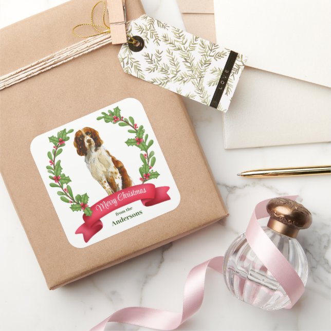 Pegatina Cuadrada Holly Banner Springer Spaniel Dog Navidades (Regalar)